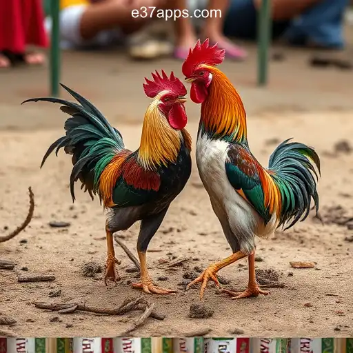 Sabong Games: A Thrilling Exploration with E37 com Cassino Online com Bônus no Brasil💸